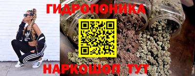 дживик Берёзовский