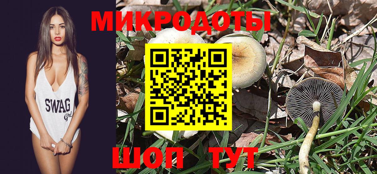 Вичуга  наркота  Вход с VPN  Псилоцибиновые грибы Psilocybine cubensis 